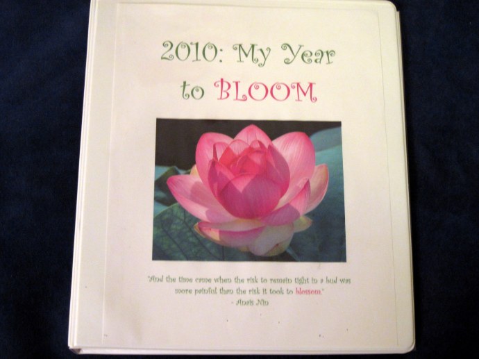 The front cover of my 2010 Guidebook.